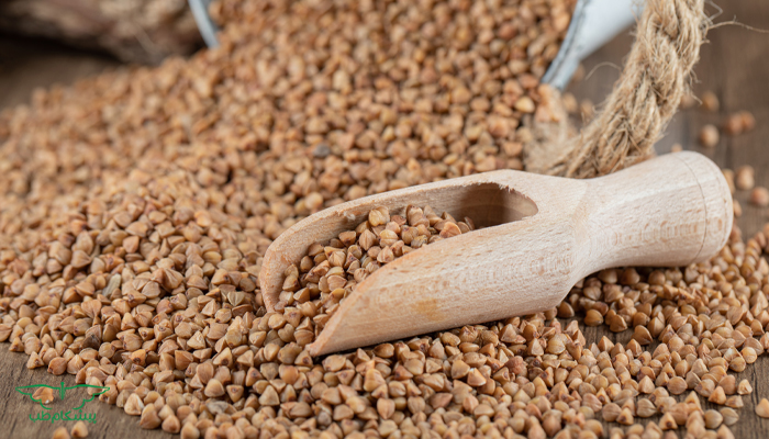 گندم سیاه برای دیابت